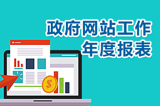 政府網(wǎng)站工作年度報(bào)表